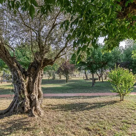 Masia Mas Tibau Country house